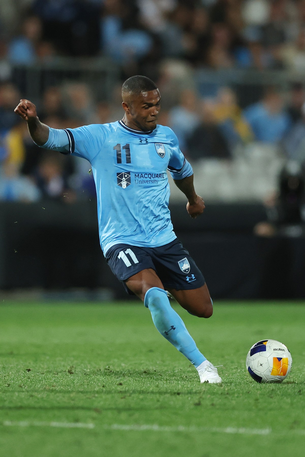 Sydney FC - Figure 4