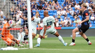 Sydney FC Defeated In Auckland